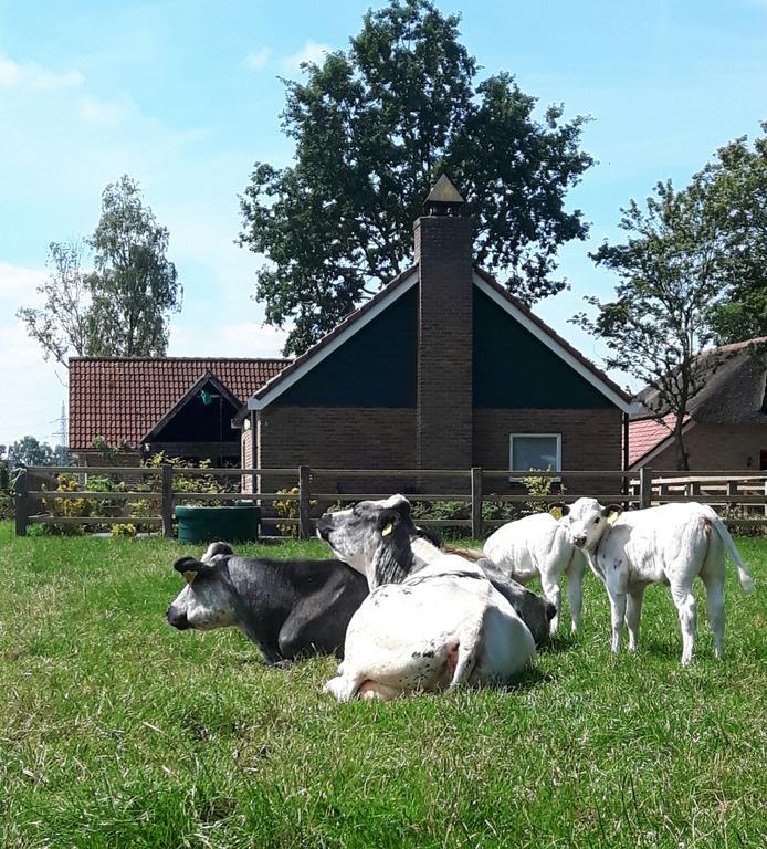 הוילה Haarle Het Kleine Landgoed מראה חיצוני תמונה